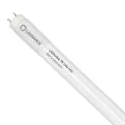 Ledvance LED Buis T8 Value (UN) High Output 8W 800lm - 830 Warm Wit | 60cm - Vervangt 18W